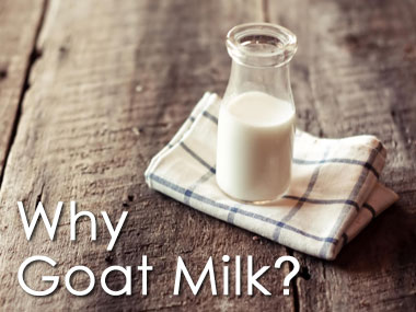 Why Goat Milk?